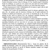 0077 - Page 73 - Emplâtre [L. Hahn] / Emplectocladus [Ed. Lefèvre] / Empleurum [Ed. Lefèvre]