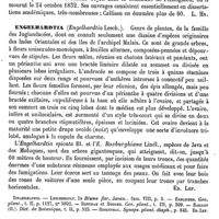 0545 - Page 541 - Engelhardt (Les) [L. Hahn] / Engelhardtia [Ed. Lefèvre] (bibliographie) / Engelken (Les trois) [A. Dureau]