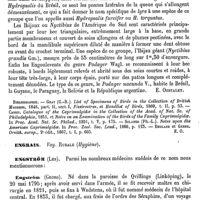 0559 - Page 555 - Engoulevent [E. Oustalet] (bibliographie) / Engrais. Voy. Rurale (Hygiène) / Engström (Les) [L. Hahn] / Enneaphyllon [Ed. Lefèvre]