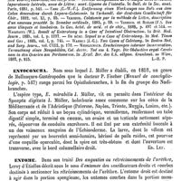 0634 - Page 630 - Entérotomie [L.-H. Petit] (bibliographie) / Entoconcha [Ed. Lefèvre] / Entome [L. Hahn]