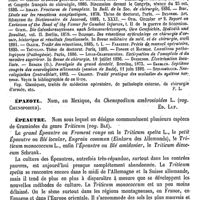 0766 - Page 762 - Épaule. Médecine opératoire [Félix Lagrange] (bibliographie) / Épazoti [Ed. Lefèvre] / Épeautre [Ed. Lefèvre] / Épée (Charles-Michel, abbé de l') [L. Hahn]