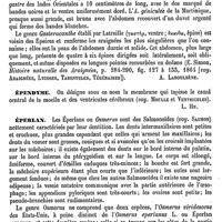 0772 - Page 768 - Épeire [A. Laboulbène] / Épendyme [L. Hahn] / Éperlan [H.-E. Sauvage] (bibliographie)
