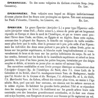 0773 - Page 769 - Éperlan [H.-E. Sauvage] (bibliographie) [E. Sauvage] / Éperon de chevalier, Éperon de la vierge [Ed. Lefèvre] / Éperonelle [Ed. Lefèvre] / Éperonnière [Ed. Lefèvre] / Épervier [E. Oustalet] / Épervière [Ed. Lefèvre]