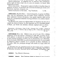 0093 - Page 89 - Espèces médicinales [L. Hahn] / Espeletia [Ed. Lefèvre] (bibliographie) / Espenberg (Karl von) [L. Hahn] / Esprit. Voy. Démons et Spiritisme / Esprits / Chimie [L. Hahn]