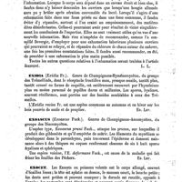 0435 - Page 431 - Exhumation [L. Lereboullet] / Exidia [Ed. Lefèvre] / Exoascus [Ed. Lefèvre] / Exocet [H.-E. Sauvage] (bibliographie)