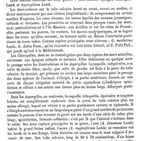 0027 - Page 23 - Gastrochaenides [Ed. Lefèvre] / Gastrocnémiens (Muscles). Voy. Jumeaux / Gastro-colique (Veine) [Amédée Dechambre]