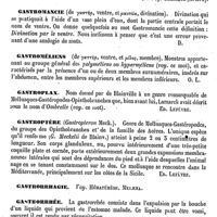 0028 - Page 24 - Gastro-épiploïques (Artères et Veines) [Amédée Dechambre] / Gastro-épiploïques (Nerfs) [Amédée Dechambre] / Gastro-hépatique. Voy. Coeliaque / Gastromancie [Amédée Dechambre] / Gastroméliens [O. Larcher] / Gastroplax [Ed. Lefèvre] / Gastroptère [Ed. Lefèvre] / Gastrorrhagie. Voy. Hématémèse, Melaena / Gastrorrhée [Leven]