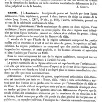 0533 - Page 529 - Génoplastie [A. Courty] / Genou / Anatomie [E. Spillmann]