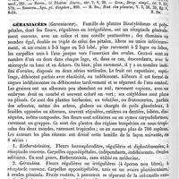 0520 - Page 516 - Géraine [H. Baillon] (bibliographie) / Géraniacées [H. Baillon]