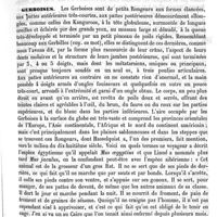0533 - Page 529 - Gerboin (Antoine-Claude) [L. Hahn] (bibliographie) / Gerboises [E. Oustalet]