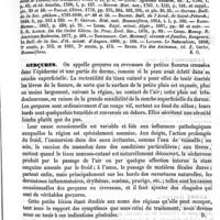 0535 - Page 531 - Gerboises [E. Oustalet] (bibliographie) / Gerçures [Amédée Dechambre] / Gerdes (Johann) [L. Hahn]
