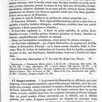 0567 - Page 563 - Germandrée. Botanique [G. Planchon] (bibliographie) / Emploi médical [Amédée Dechambre]