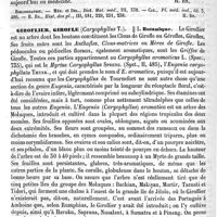 0728 - Page 724 - Giroflée [H. Baillon] (bibliographie) / Giroflier, Girofle / Botanique [H. Baillon]