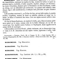 0022 - Page 18 - Hae-kin-sha [G. Planchon] (bibliographie) / Haemacyanine. Voy. Hémacyanine / Haemagogum [G. Planchon] / Haemanthus [G. Planchon] / Haemaphéine. Voy. Hémaphéine / Haematéine. Voy. Hématéine / Haematine. Voy. Hématine / Haematoxylon. Voy. Campêche et Hématoxylon / Haemoglobine. Voy. Hémoglobine / Haemophilie. Voy. Hémophilie / Haemopis. Voy. Hémopis / Haën (Antoine de) [A. Chéreau]