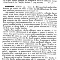 0067 - Page 63 - Halicacabum [Ed. Lefèvre] / Halim [Ed. Lefèvre] / Halimatia [Ed. Lefèvre] / Haliotide [Ed. Lefèvre] / Halitueux [L. Hahn]