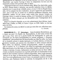 0127 - Page 123 - Haly-Abbas [L. Leclerc] / Hamamelis / Botanique [H. Baillon]
