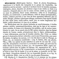 0599 - Page 595 - Hélice. Emploi [L. Hahn] / Hélichryse [Ed. Lefèvre]
