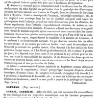 0029 - Page 25 - Laudanum. Emploi médical [Fonssagrives] / Laurano. Voy. Laurier / Laurel, Laurélie [H. Baillon] (bibliographie)