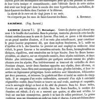 0032 - Page 28 - Laurent- (Saint-) Les-Bains (Eaux minérales de) [A. Rotureau] / Lauréole. Voy. Daphné / Laurier / Botanique [H. Baillon]