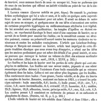 0034 - Page 30 - Laurier. Botanique [H. Baillon] (bibliographie) / Emploi médical [Fonssagrives]