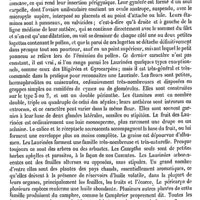 0048 - Page 44 - Laurier. Emploi médical [Fonssagrives] / Laurine [Amédée Dechambre] / Laurinées ou Lauracées [H. Baillon] (bibliographie) / Laurus. Voy. Laurier