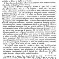 0054 - Page 50 - Lavande. Botanique [H. Baillon] (bibliographie) / Pharmacologie [J. Delioux de Savignac]