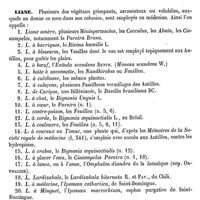 0511 - Page 501 - Lézard [A. Laboulbène] / Liane [H. Baillon]