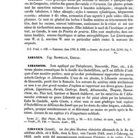 0512 - Page 502 - Liane [H. Baillon] / Liatris [G. Planchon] (bibliographie) / Labanus. Voy. Boswellie, Encens / Libanotis [G. Planchon] / Libavius (André) [A. Chéreau]