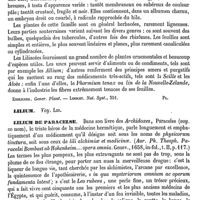 0589 - Page 579 - Lilas. Thérapeutique [J. Delioux de Savignac] / Liliacées [G. Planchon] (bibliographie) / Lilium. Voy. Lis / Lilium de paracelse [A. Chéreau]