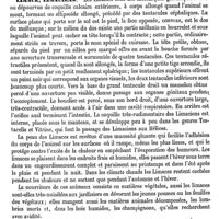 0591 - Page 581 - Lille (Chrétien-Éverard de) [E. Beaugrand] (bibliographie) / Limace, Limaciens [A. Laboulbène] / Limacien (Nerf)