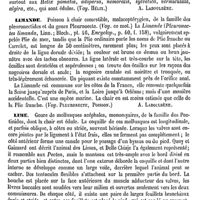 0592 - Page 582 - Limacine [Amédée Dechambre] / Limaçon. Voy. Oreille interne / Limaçons [A. Laboulbène] / Limande [A. Laboulbène] / Lime [A. Laboulbène] / Limettier [G. Planchon]