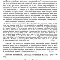 0613 - Page 603 - Linden (Jon.-Anton. van der) [E. Beaugrand] (bibliographie) / Lingua [H. Baillon] / Lingual inférieur ; Lingual supérieur (Muscles). Voy. Langue / Lingual Transverse (Muscle). Voy. Langue / Lingual (Nerf). Voy. Maxillaire supérieur (Nerf) / Lingual de Hirschfeld (Nerf). Voy. Facial (Nerf) / Linguales (Artère et veines) / Anatomie [V. Paulet]