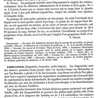 0625 - Page 615 - Linguales (Artère et veine). Pathologie et médecine opératoire [V. Paulet] (bibliographie) / Linguatule [A. Laboulbène]