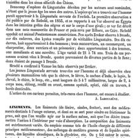 0626 - Page 616 - Linguatule [A. Laboulbène] / Liniments [T. Gobley]