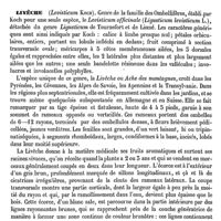 0749 - Page 739 - Littre (Alexis) [A. Chéreau] (bibliographie) / Livêche [G. Planchon]