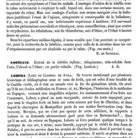 0761 - Page 751 - Lobélie. Emploi médical [J. Delioux de Savignac] / Lobéline [Amédée Dechambre] / Lobera (Luiz) [E. Beaugrand]