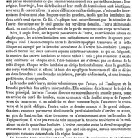 0074 - Page 70 - Lolimma-raja ou Lolimba-raja [G. Liétard] (bibliographie) / Lolium. Voy. Ivraie / Lolo, Lolotier. Voy. Papayer / Lombaires (Artères, Plexus) / Artères [Paulet]