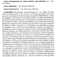 0109 - Page 105 - Long du cou. Muscle [Paulet] / Long extenseur du pouce, des orteils, etc. Voy. Extenseur / Long fléchisseur du gros orteil, des orteils, etc. Voy. Fléchisseur / Long Péronier. Voy. Péroniers (Muscles) / Long Supinateur. Voy. Supinateurs (Muscles) / Longchêne (Établissement hydrothérapique de) [A. Rotureau] / Longévité [Amédée Dechambre]