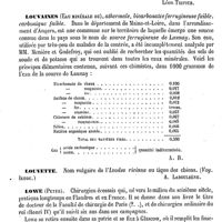 0146 - Page 142 - Loupes. Chirurgie [Léon Tripier] / Louvaines (Eau minérale de) [A. Rotureau] / Louvette. Voy. Ixode [A. Laboulbène] / Lowe (Peter) [E. Beaugrand]