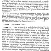 0177 - Page 173 - Ludolff (Les deux) [A. Chéreau] (bibliographie) / Luette. Voy. Bouche et Palais / Luffa (Cav.) [H. Baillon]
