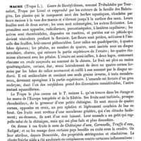 0635 - Page 631 - Macquer (Pierre-Joseph) [H. Montanier] (bibliographie) / Macre [G. Planchon]