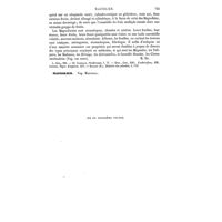 0749 - Page 745 - Magnoliacées [H. Baillon] (bibliographie) / Magnolier. Voy. Magnolia
