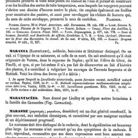 0760 - Page 756 - Maranta [G. Planchon] (bibliographie) / Maranta (Barthélemy) [A. Chéreau] / Marantacées [G. Planchon] / Marasme [Blachez]