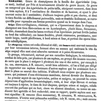 0762 - Page 758 - Marasme [Blachez] / Marasme [Jacques Bertillon]