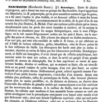 0774 - Page 770 - Marchal (Laurent-Joseph-Anselme) [E. Beaugrand] (bibliographie) / Marchantie / Botanique [H. Baillon]