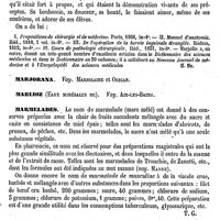 0126 - Page 122 - Marjolin (Jean-Nicolas) [H. Montanier] (bibliographie) / Marjorana. Voy. Marjolaine et Origan / Marlioz (Eaux minérales de). Voy. Aix-les-Bains / Marmelades [T. Gobley] / Marmotte [P. Gervais]