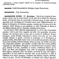 0140 - Page 136 - Marquises (Archipel des) [A. Le Roy de Méricourt] (bibliographie) / Marron. Voy. Châtaignier / Marronier. Voy. Châtaignier / Marronnier d'Inde / Botanique [G. Planchon]