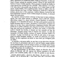 0148 - Page 144 - Marronnier d'Inde. Emploi médical [J. Delioux de Savignac] (bibliographie) / Marrube / Botanique [G. Planchon] / Emploi médical [J. Delioux de Savignac]