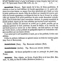 0178 - Page 174 - Massaria (Alexandre) [A. Chéreau] (bibliographie) / Masséter (Muscle) [Amédée Dechambre] / Massétérin (Nerf). Voy. Maxillaire inférieur (Nerf) / Massétérine (Artère). Voy. Maxillaire interne (Artère) / Massicot. Voy. Plomb / Massitu. Voy. Pied de Griffon / Masson (Antoine) [E. Beaugrand]