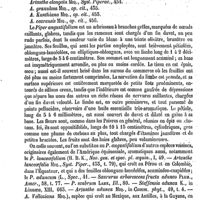 0214 - Page 210 - Matico. Botanique [H. Baillon] (bibliographie)